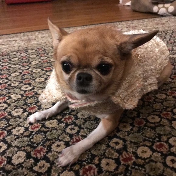 Meet your Posher, Betty - Picture 2 of 8